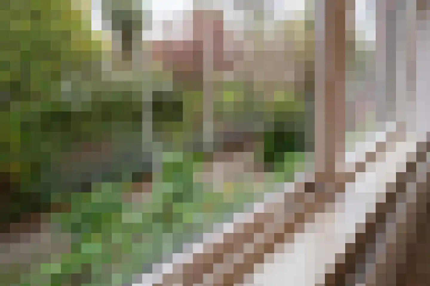 Molenweide 60 Castricum thumbnail 30