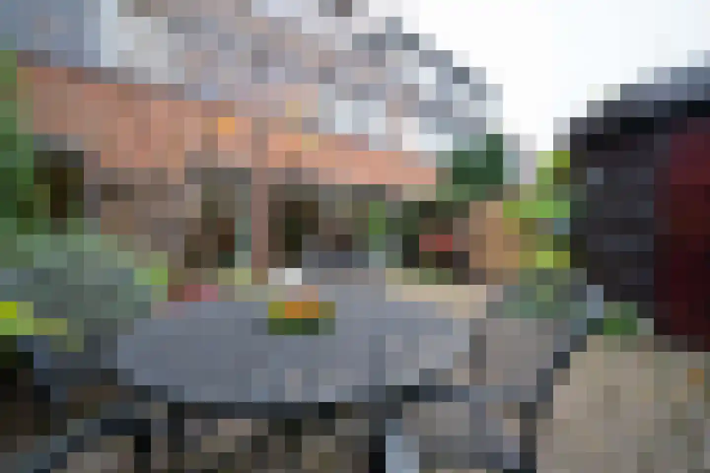 Molenweide 60 Castricum thumbnail 44