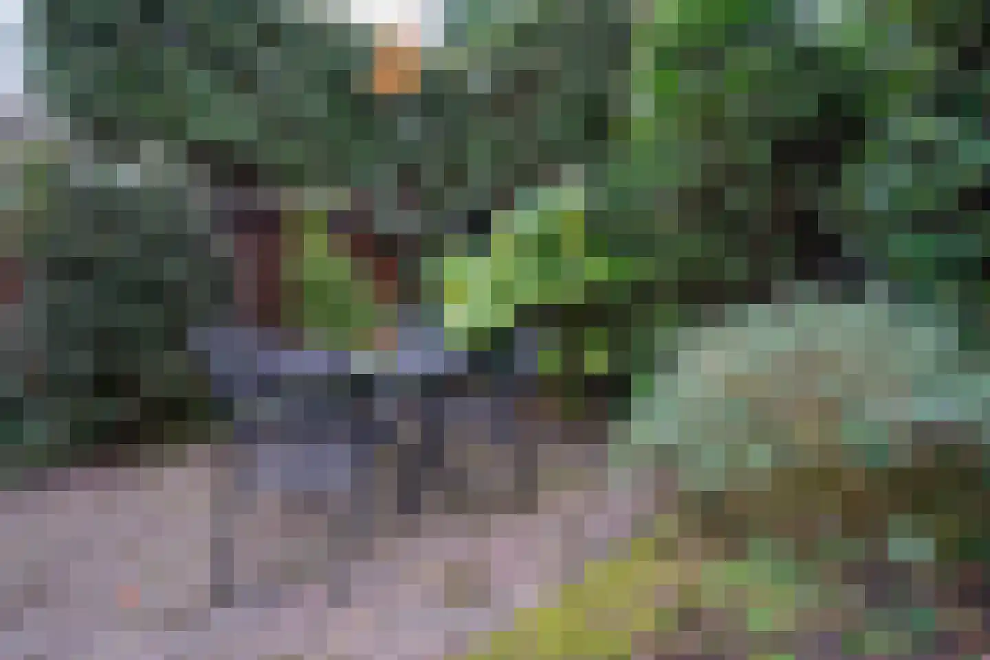 Molenweide 60 Castricum thumbnail 47