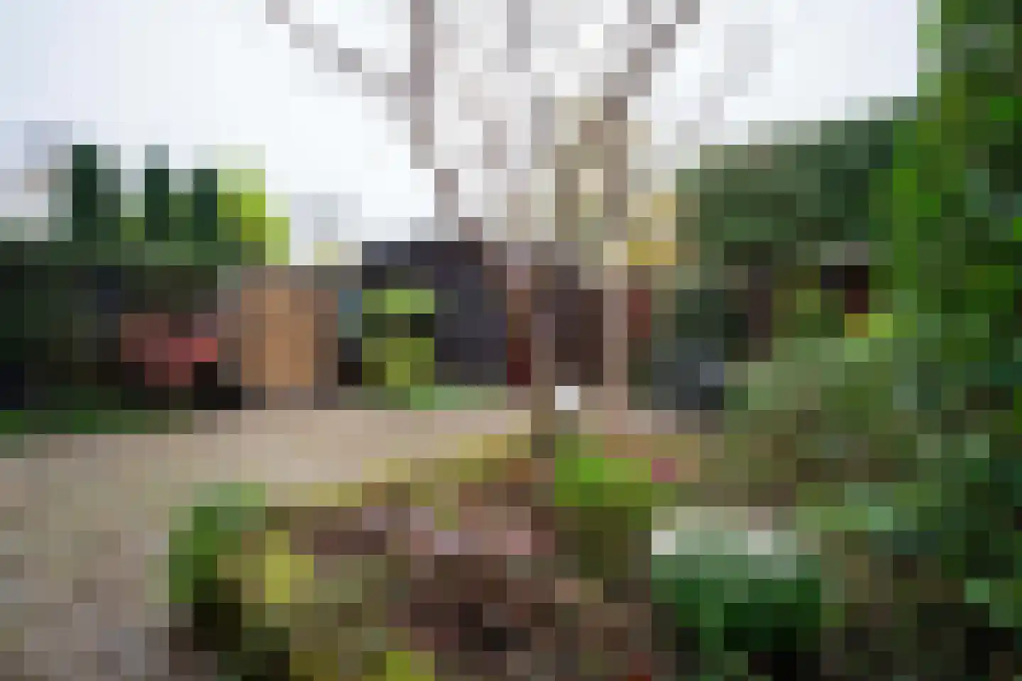Molenweide 60 Castricum thumbnail 49
