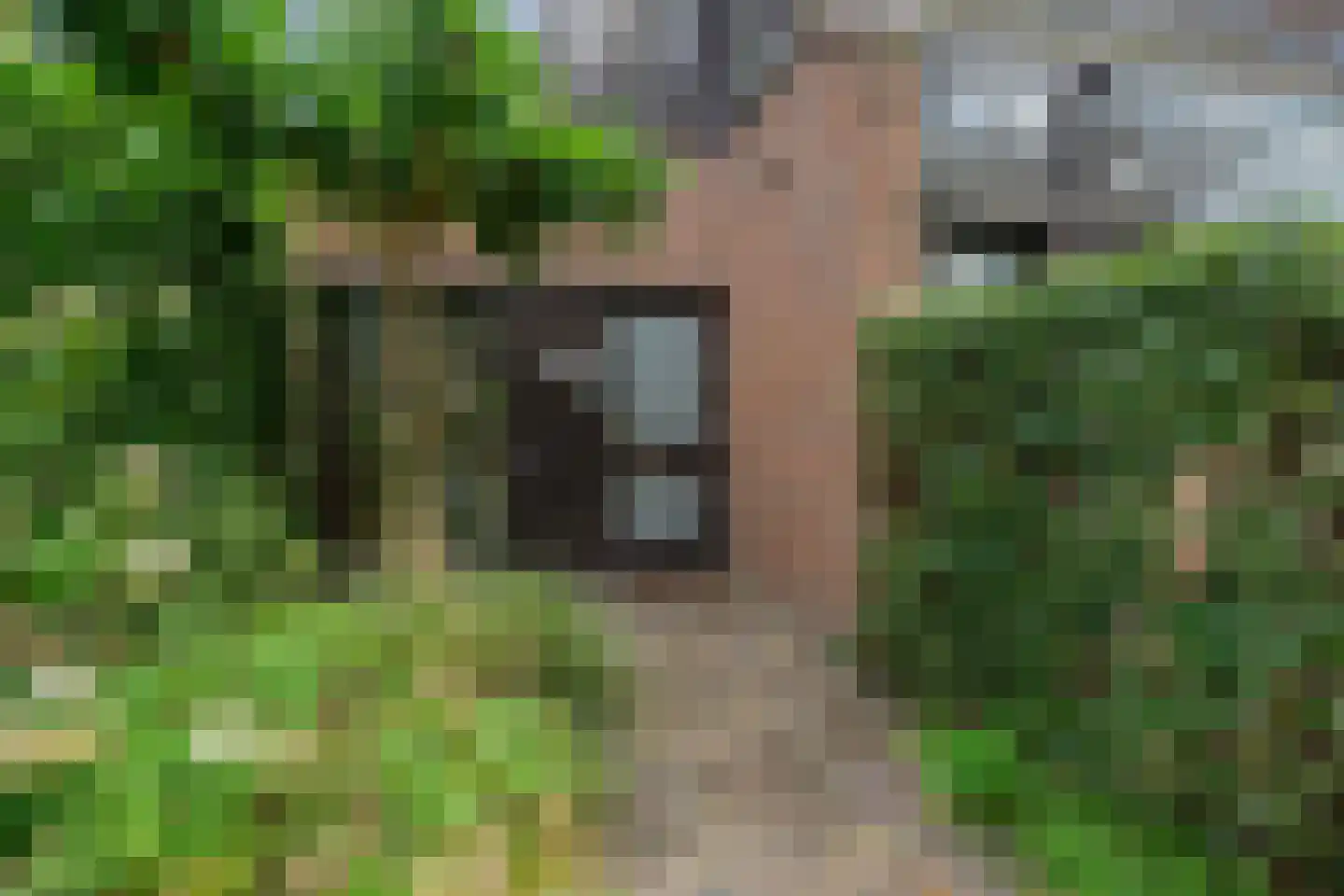 Molenweide 60 Castricum thumbnail 50