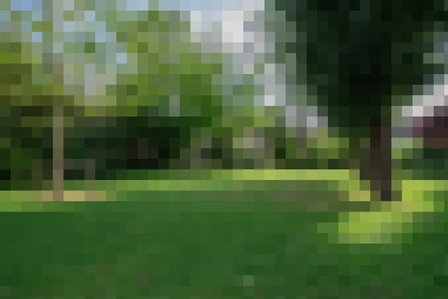 Molenweide 60 Castricum thumbnail 51