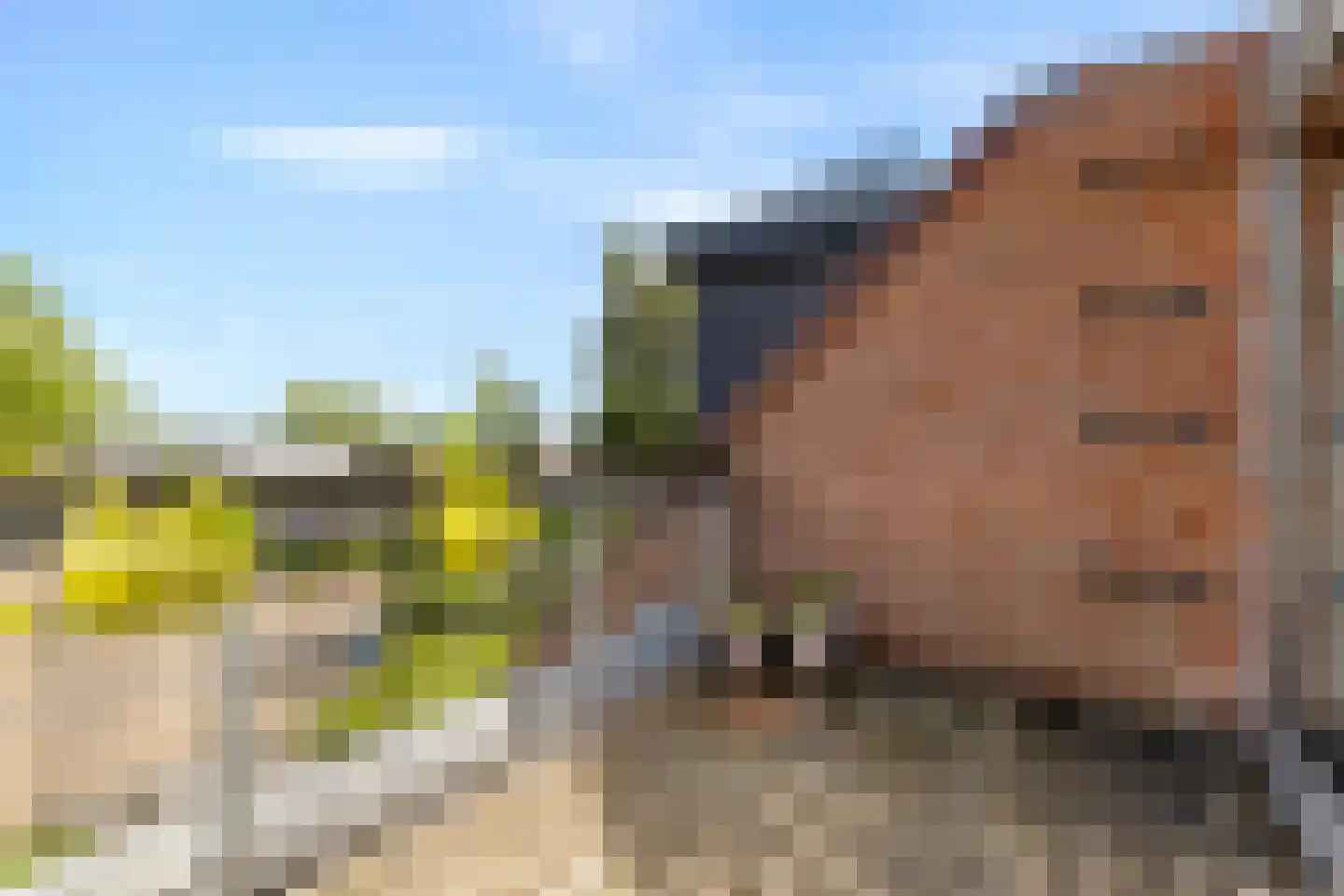 Molenweide 62 Castricum thumbnail 24