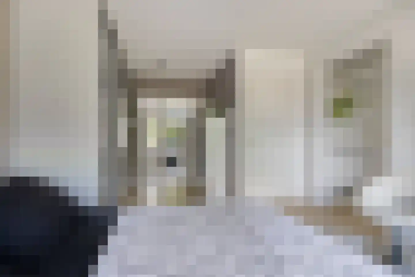 Molenweide 62 Castricum thumbnail 26