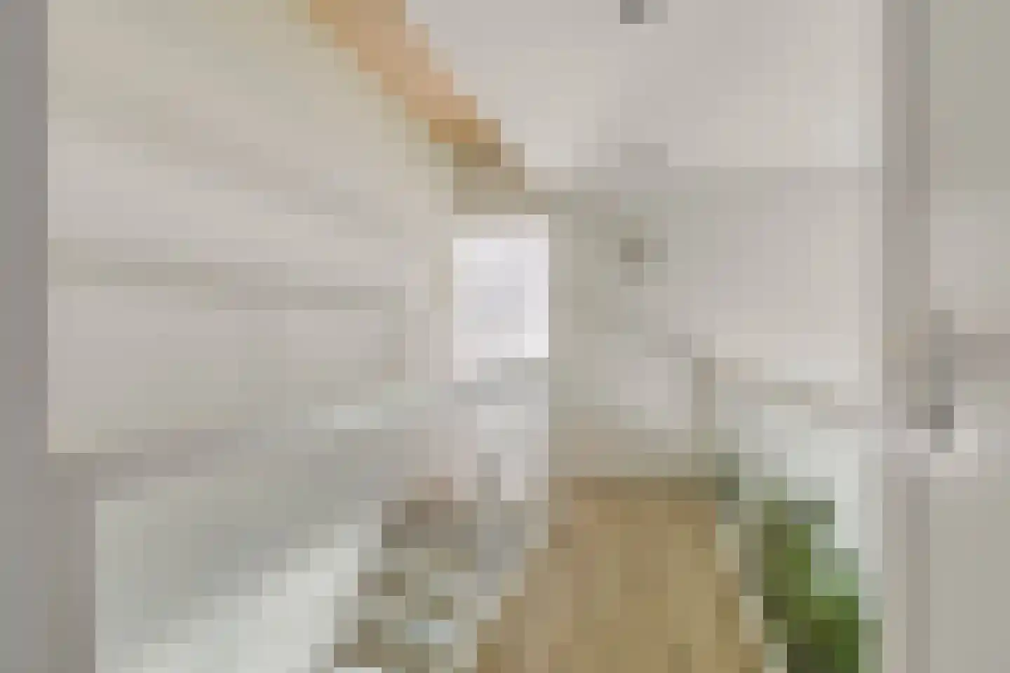 Molenweide 62 Castricum thumbnail 31