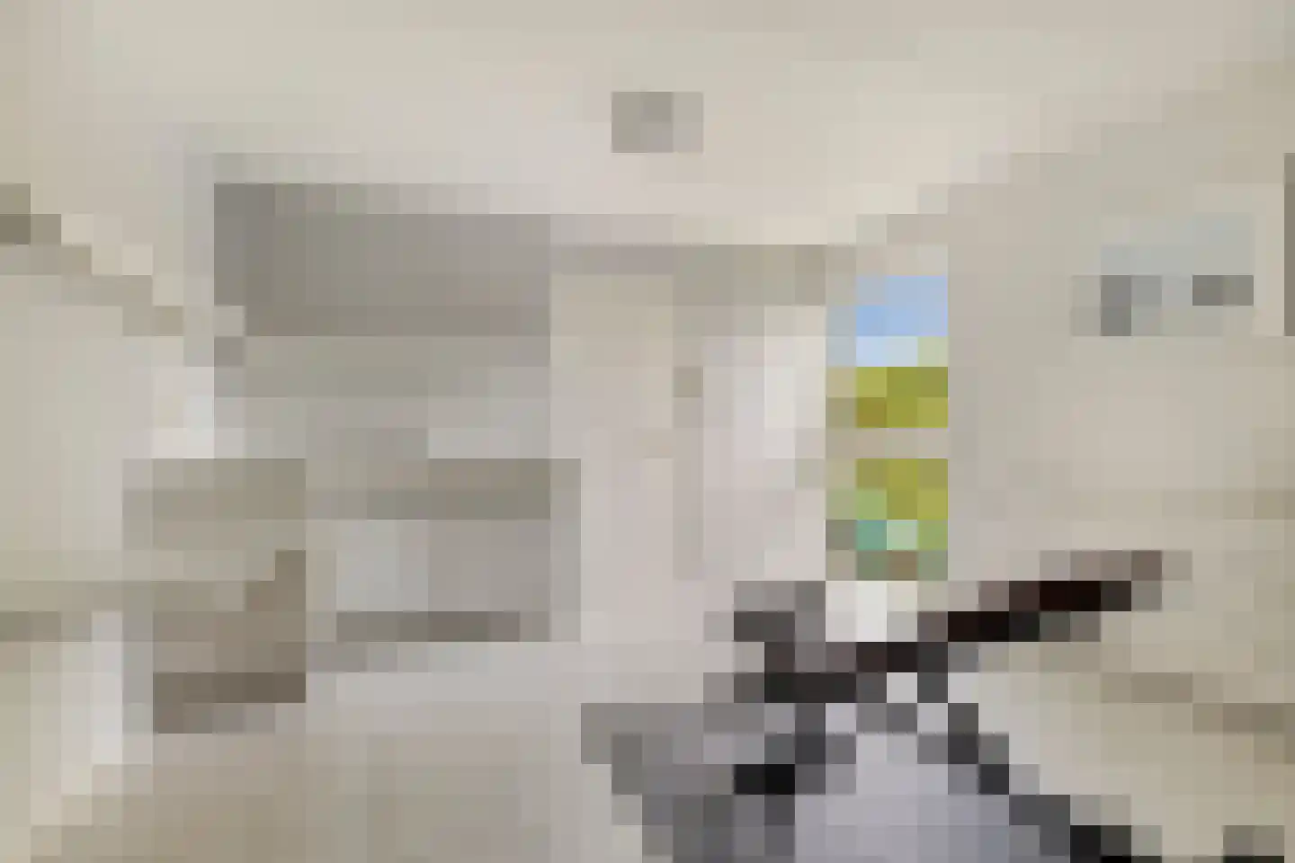 Molenweide 62 Castricum thumbnail 39