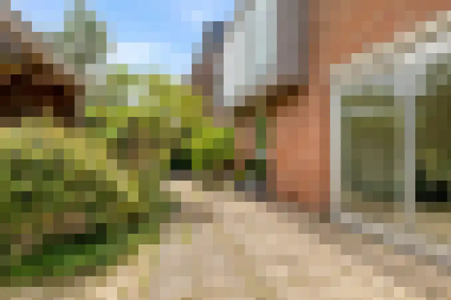 Molenweide 62 Castricum thumbnail 44