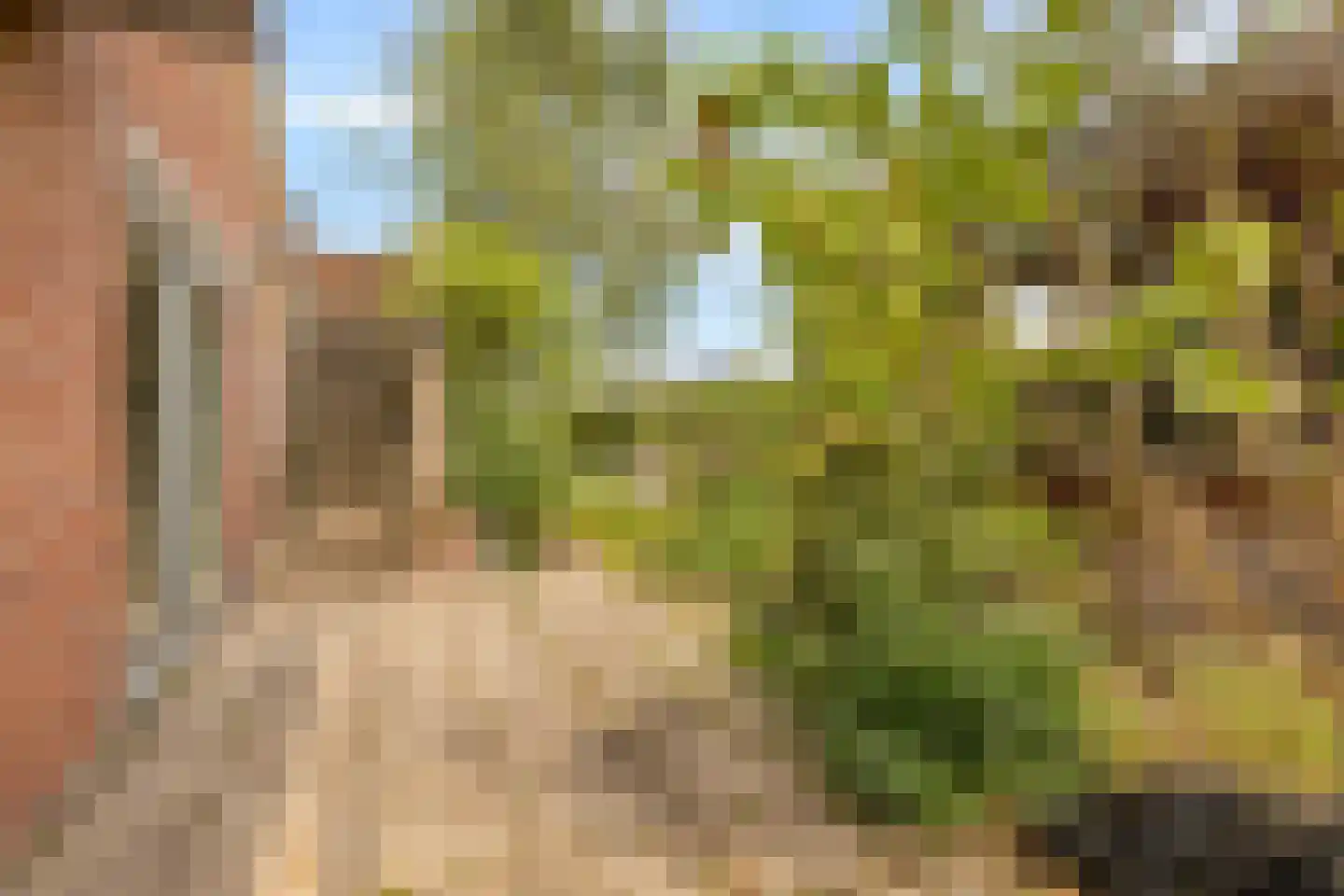 Molenweide 62 Castricum thumbnail 45
