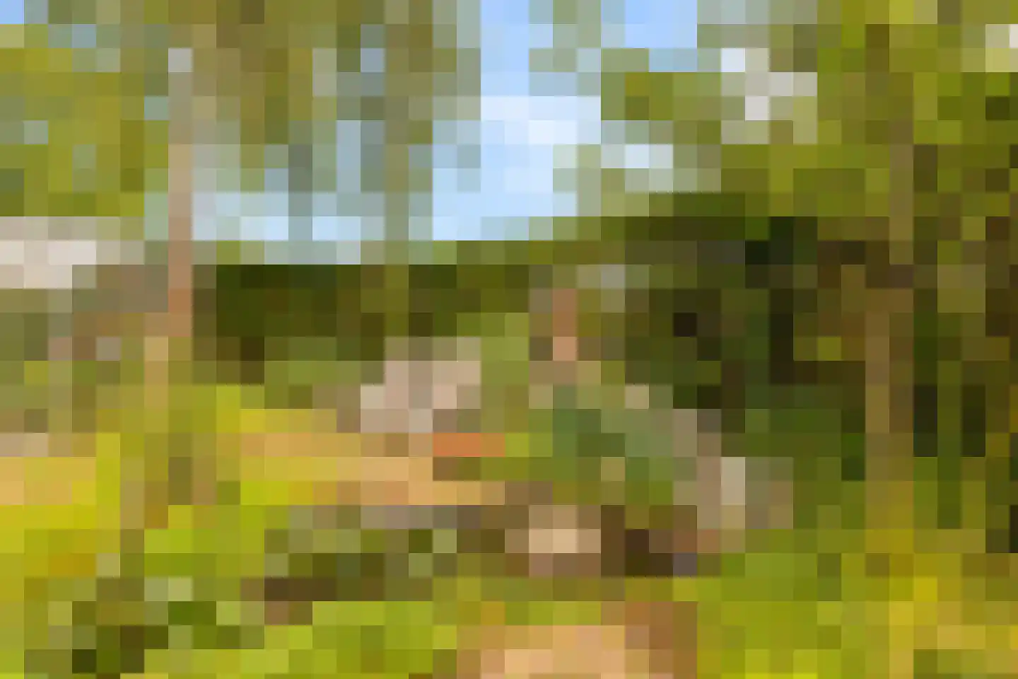 Molenweide 62 Castricum thumbnail 46