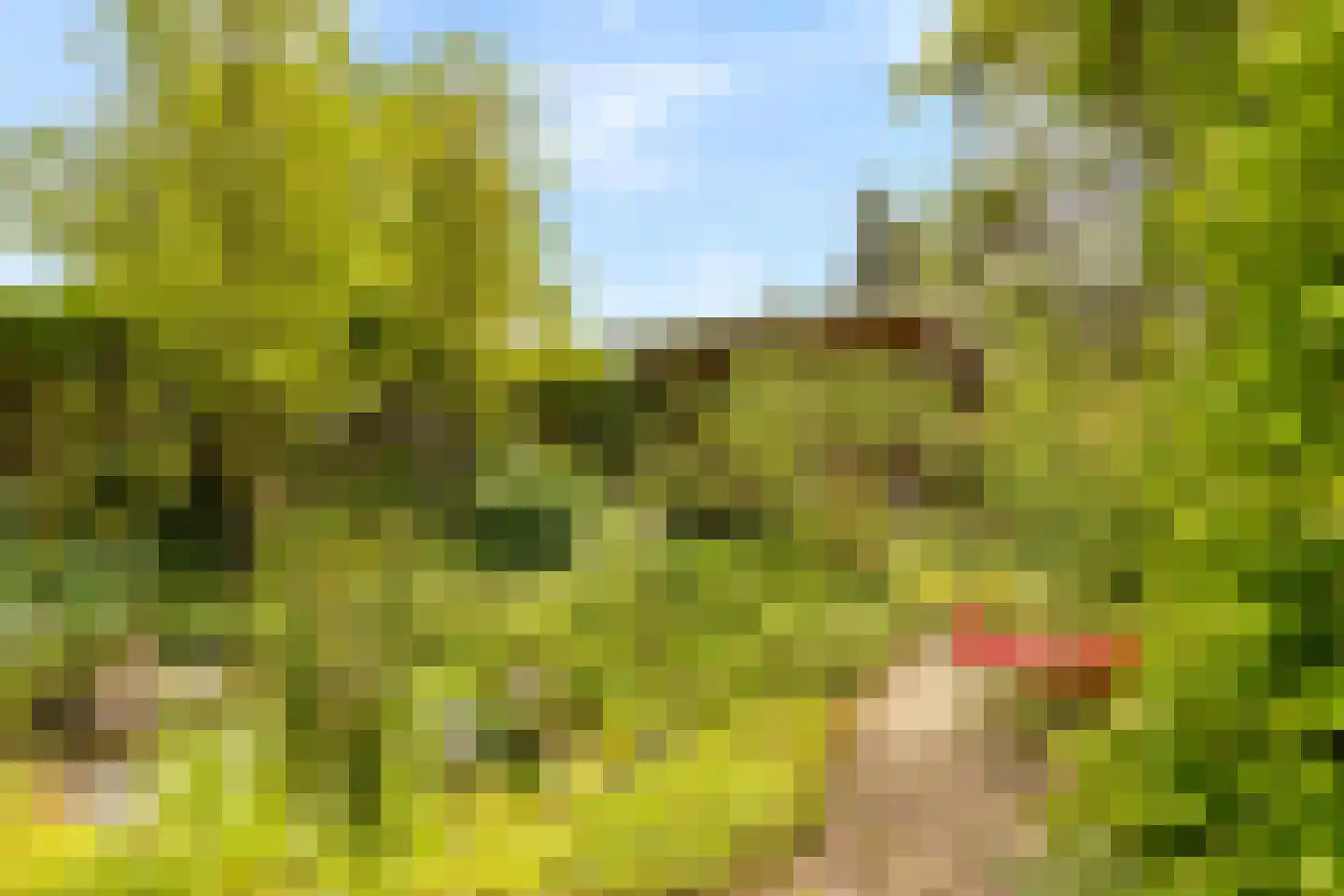 Molenweide 62 Castricum thumbnail 47