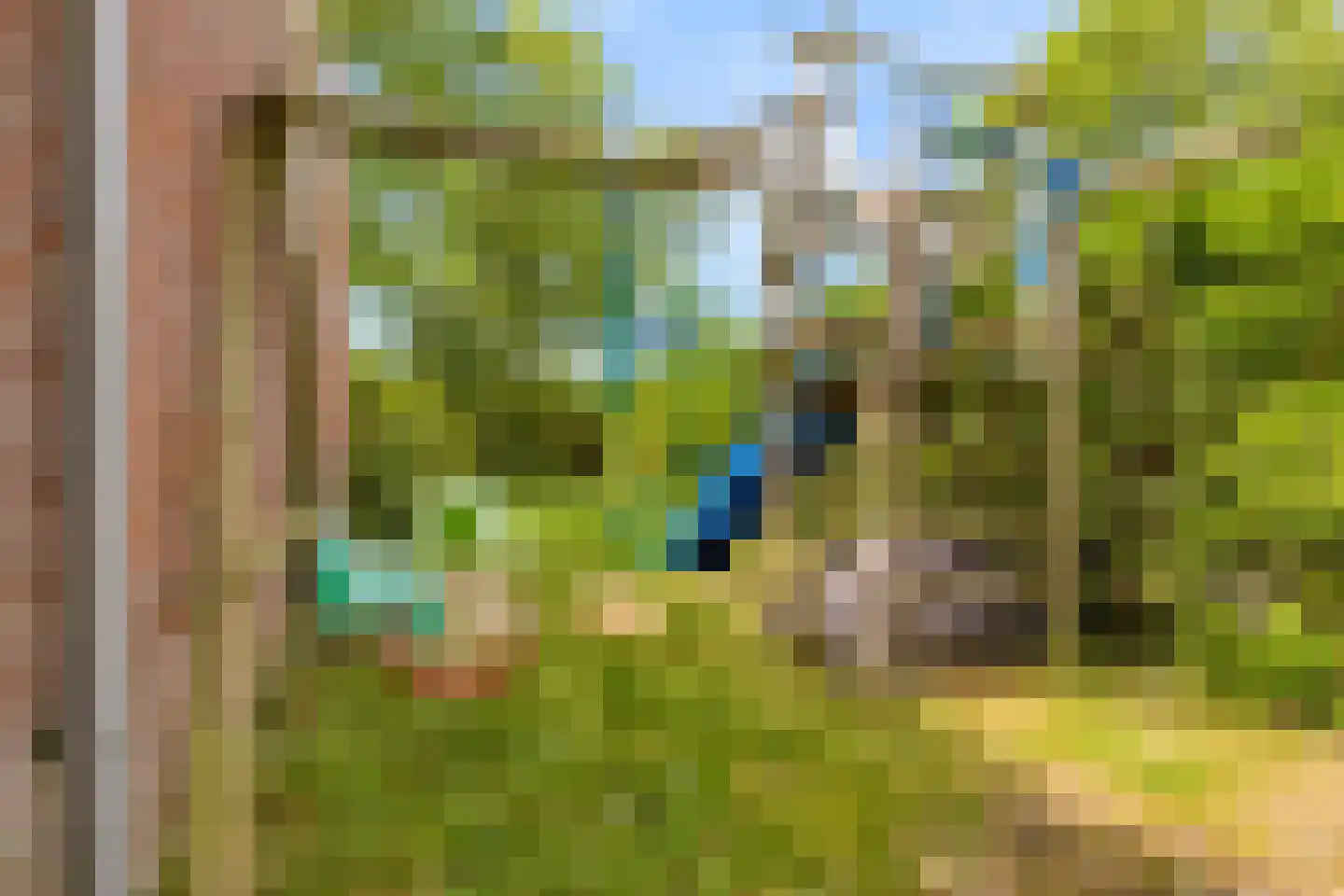Molenweide 62 Castricum thumbnail 48