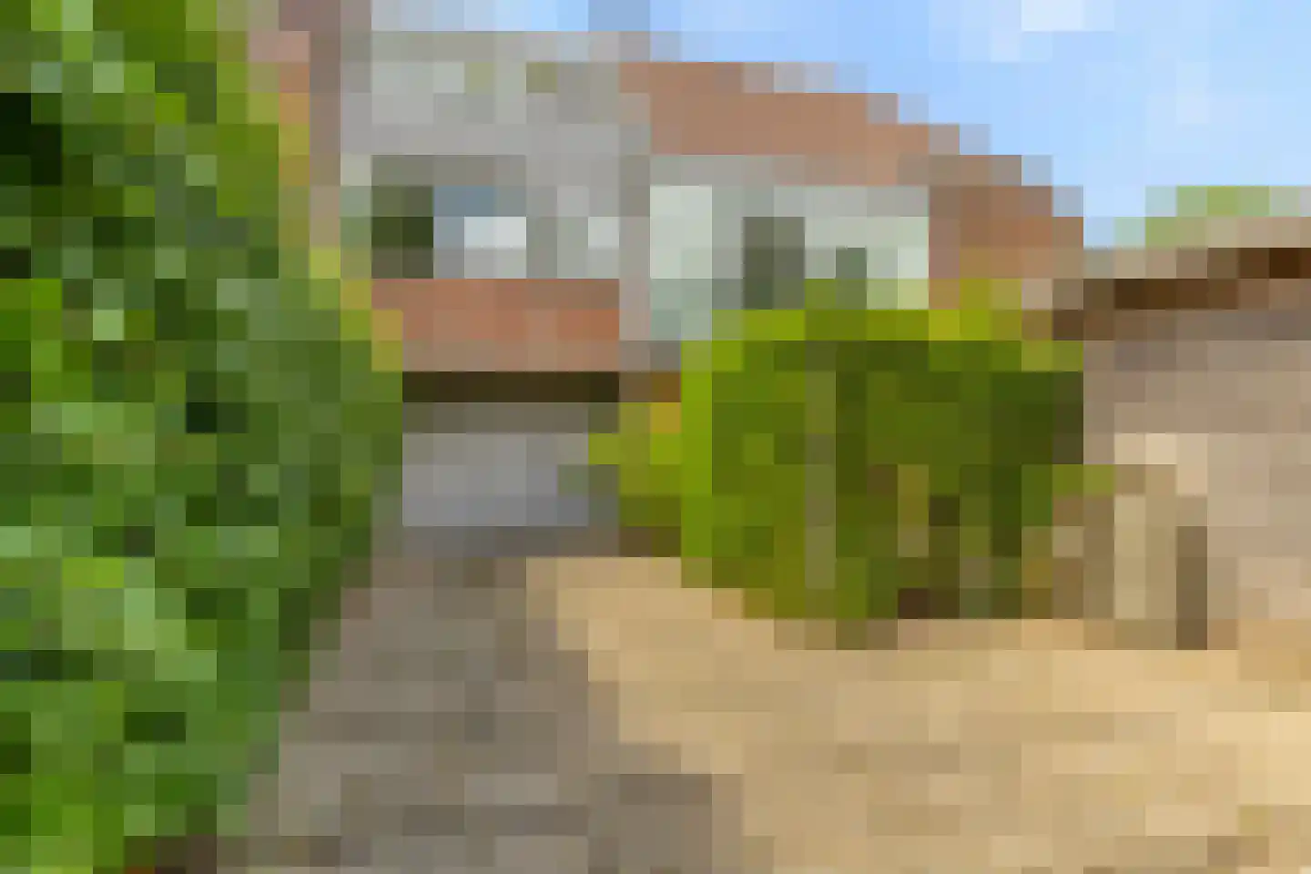 Molenweide 62 Castricum thumbnail 55