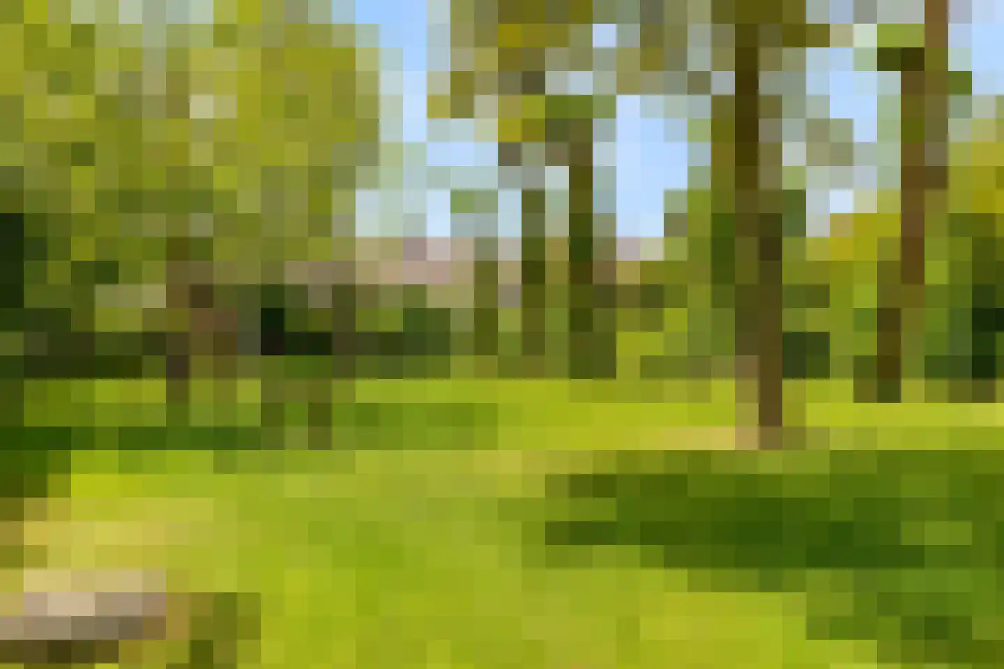 Molenweide 62 Castricum thumbnail 56