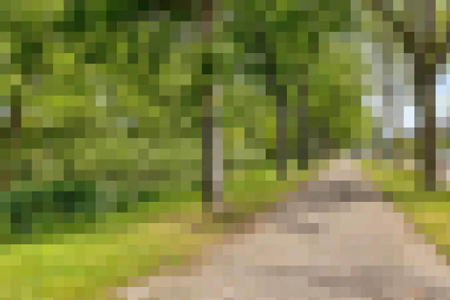 Molenweide 62 Castricum thumbnail 57
