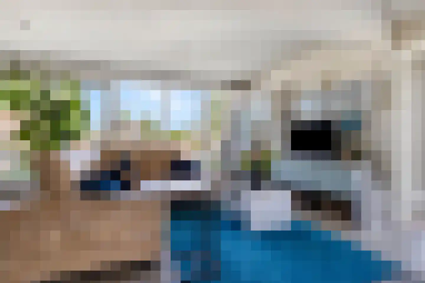 Molenweide 62 Castricum thumbnail 8