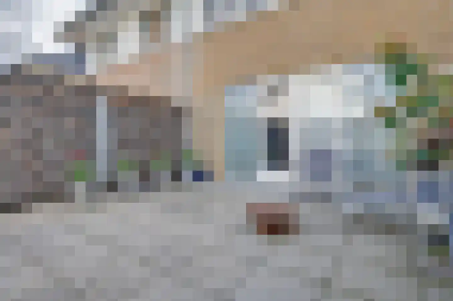Molenweide 62 Delft thumbnail 14