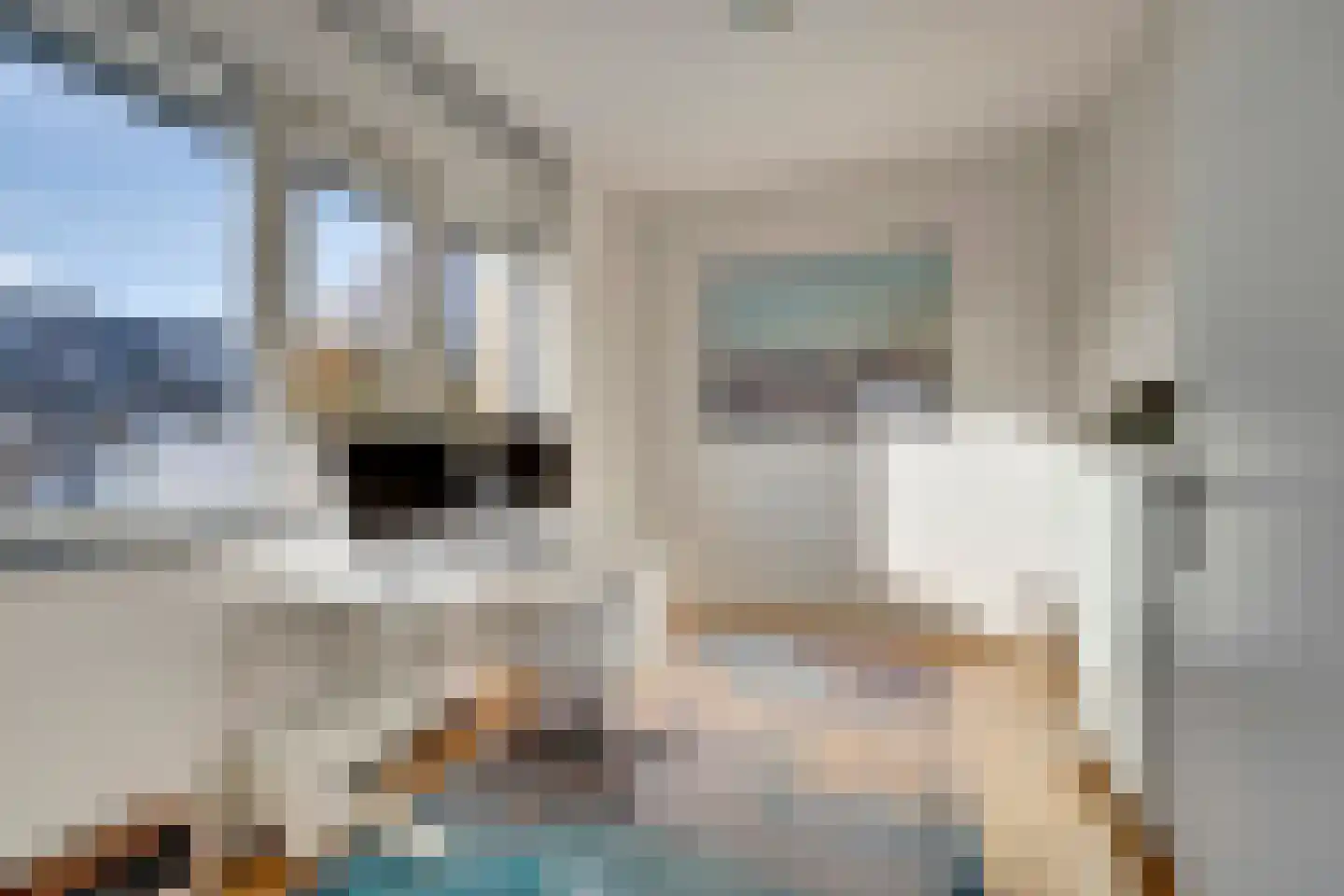 Molenweide 62 Delft thumbnail 33