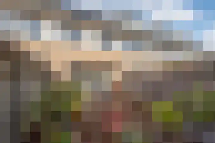 Molenweide 85 Delft thumbnail 15
