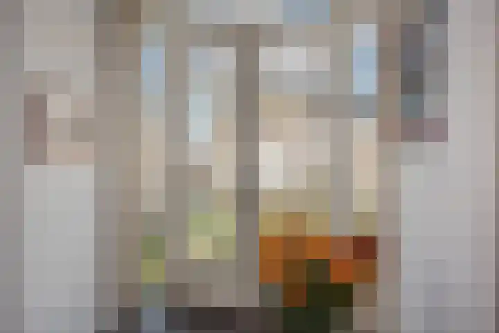 Molenweide 85 Delft thumbnail 29