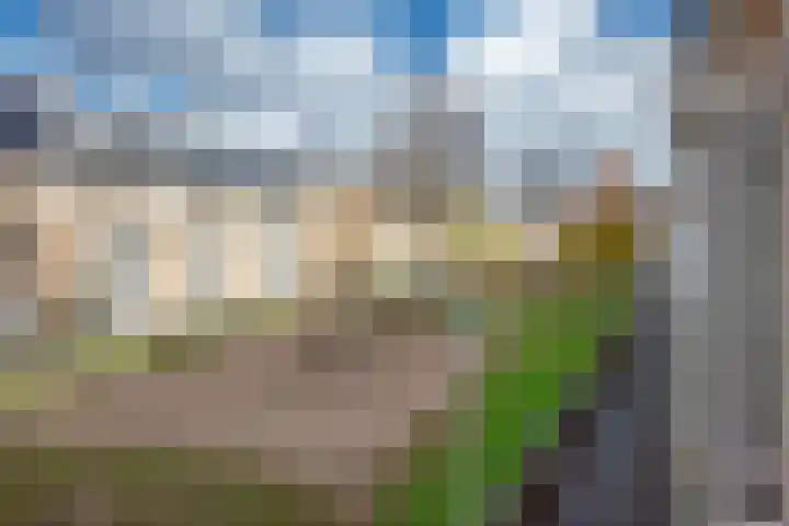 Molenweide 85 Delft thumbnail 30