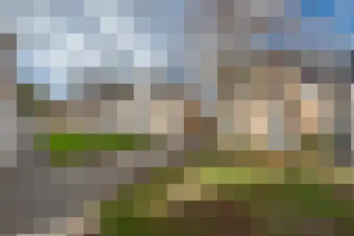 Molenweide 85 Delft thumbnail 31