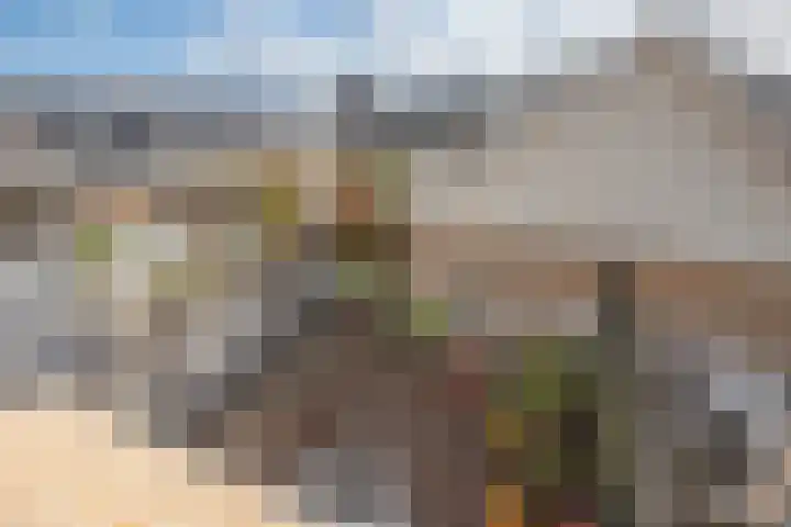 Molenweide 85 Delft thumbnail 38