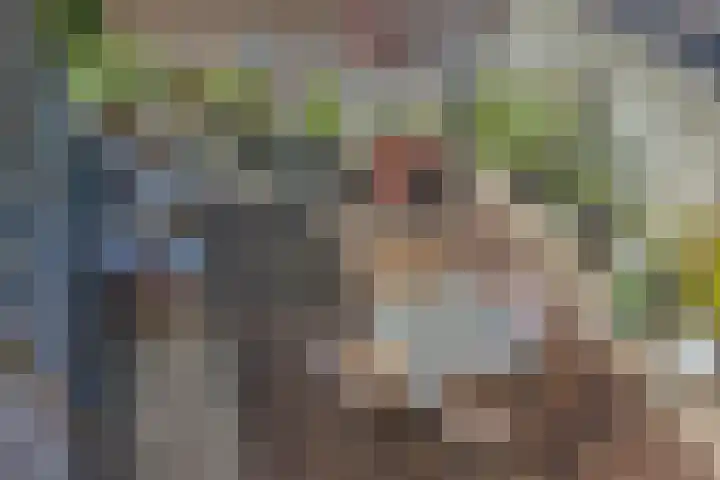 Molenweide 85 Delft thumbnail 39