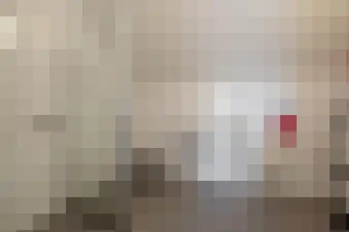 Molenweide 85 Delft thumbnail 51
