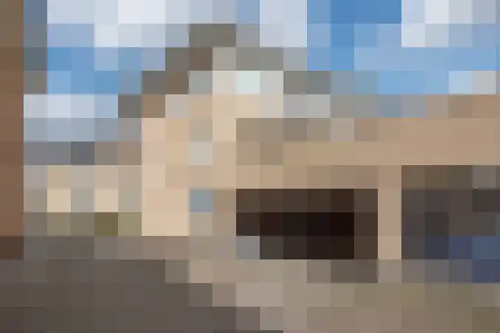Molenweide 85 Delft thumbnail 53