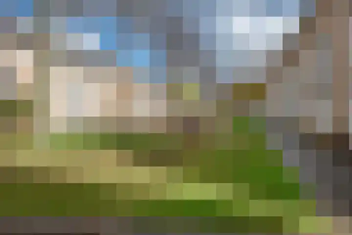 Molenweide 85 Delft thumbnail 54