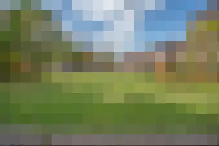 Molenweide 85 Delft thumbnail 55