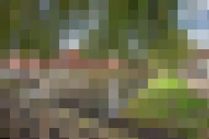 Molenweide 85 Delft thumbnail 56