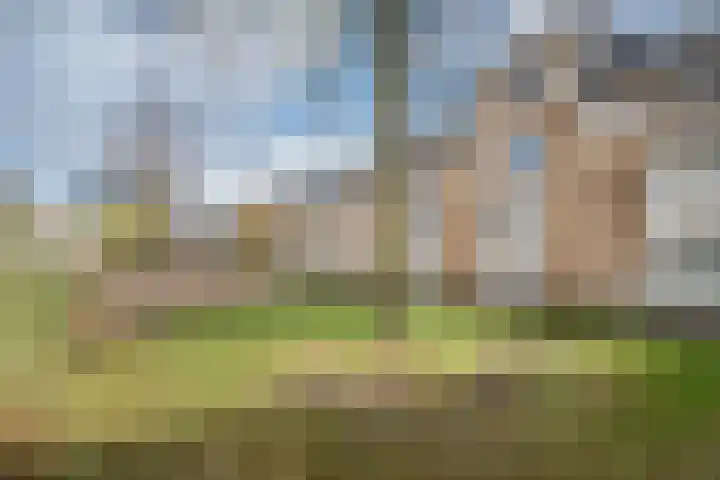 Molenweide 85 Delft thumbnail 6