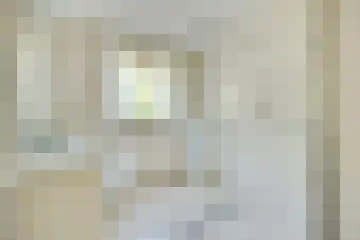 Molenweide 9 Boxtel thumbnail 33