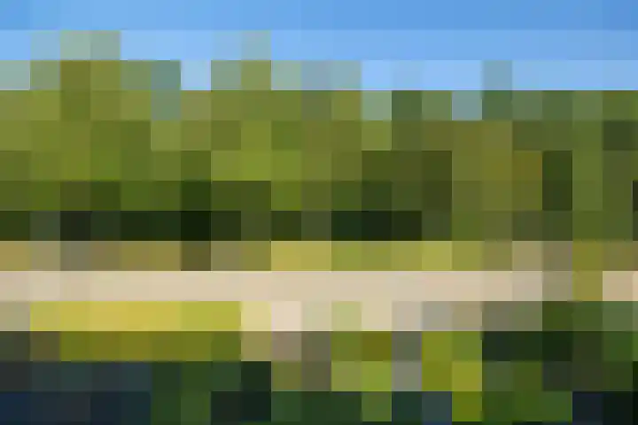 Molenweide 9 Boxtel thumbnail 36
