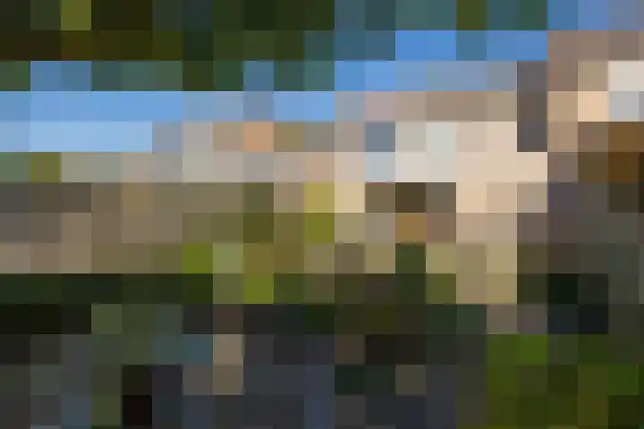 Molenweide 9 Boxtel thumbnail 45