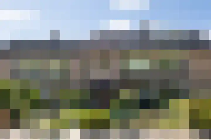 Molenweide 9 Boxtel thumbnail 53