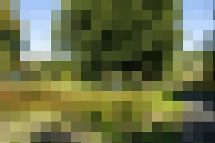 Molenweide 9 Boxtel thumbnail 57