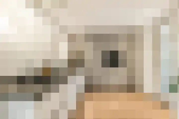 Molenwerf 1 Spaarndam thumbnail 26