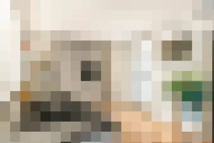 Molenwerf 1 Spaarndam thumbnail 27