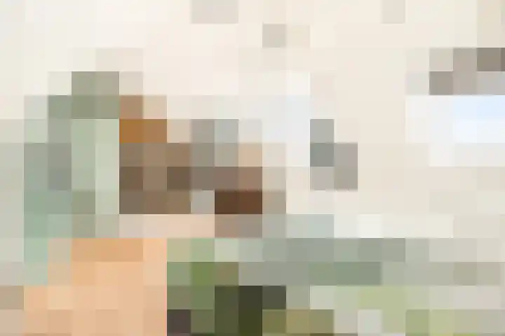 Molenwerf 1 Spaarndam thumbnail 6
