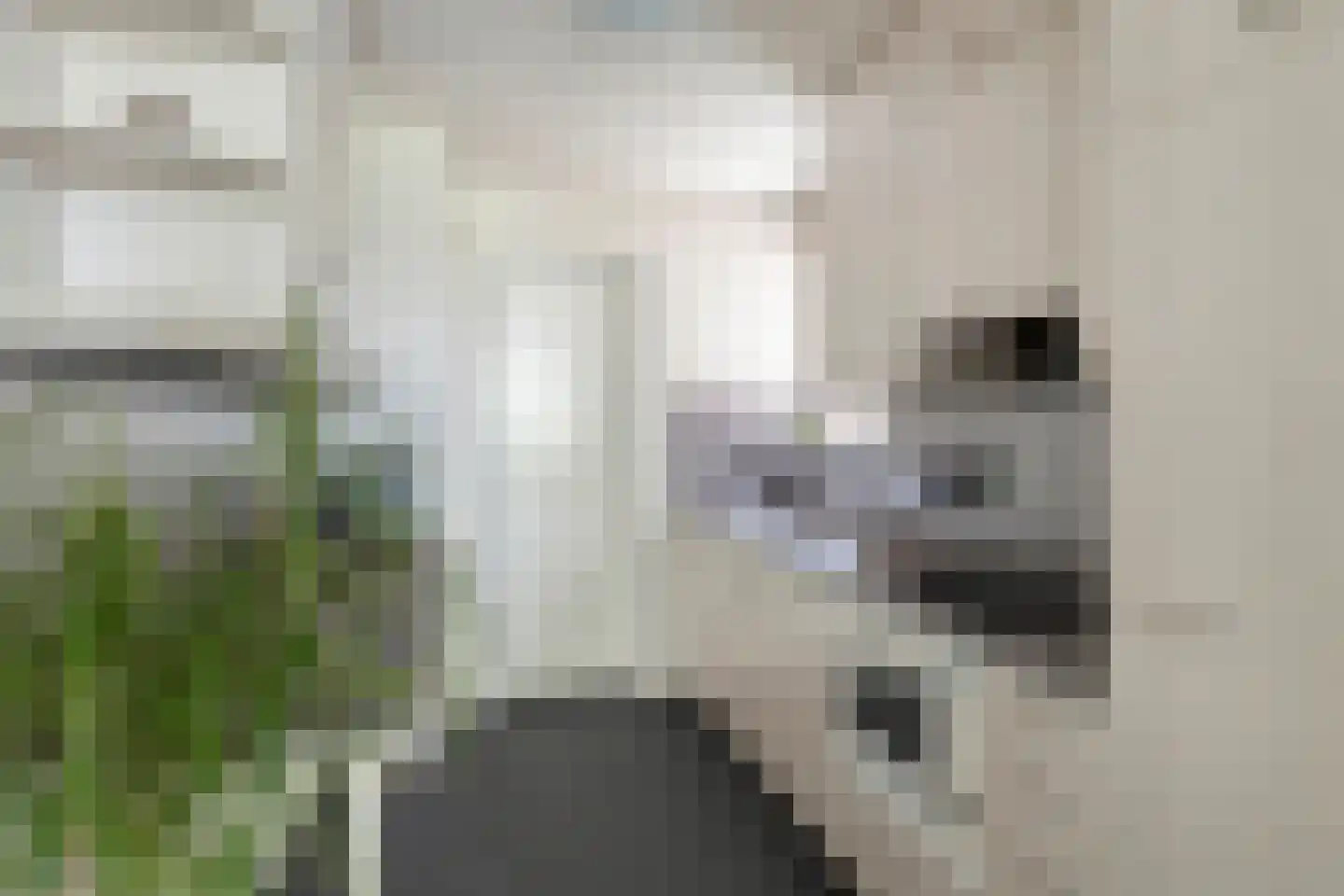 Molenwerf 114 Lekkerkerk thumbnail 17