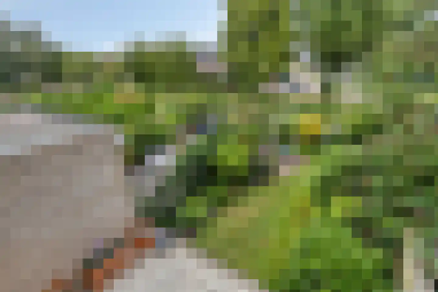 Molenwerf 114 Lekkerkerk thumbnail 39