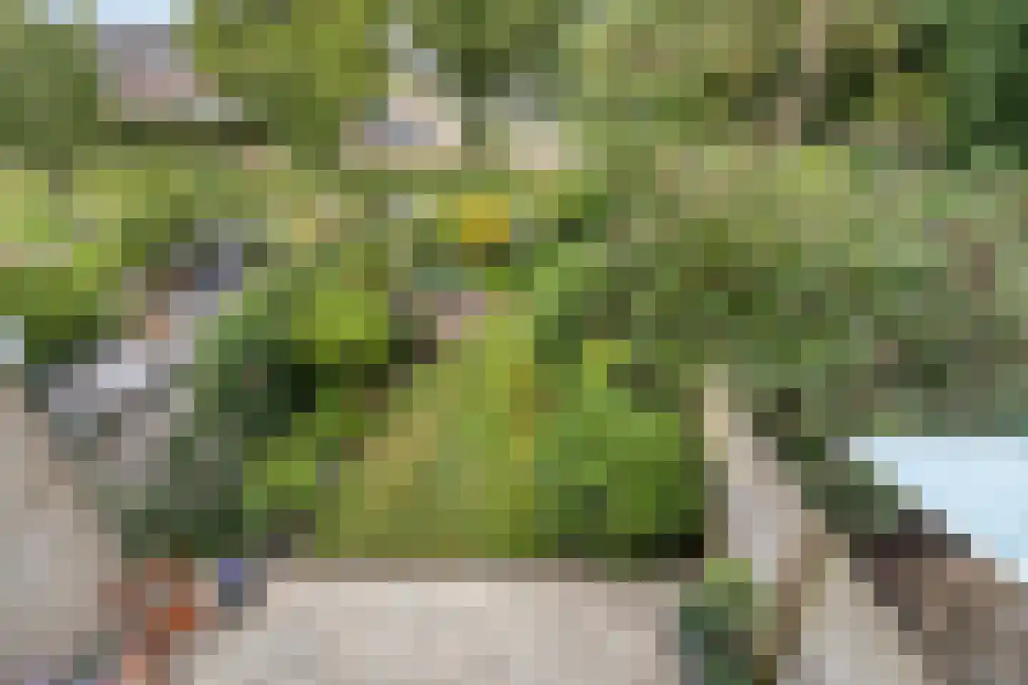 Molenwerf 114 Lekkerkerk thumbnail 40