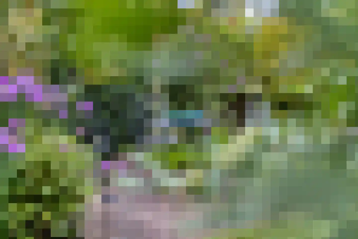 Molenwerf 114 Lekkerkerk thumbnail 44