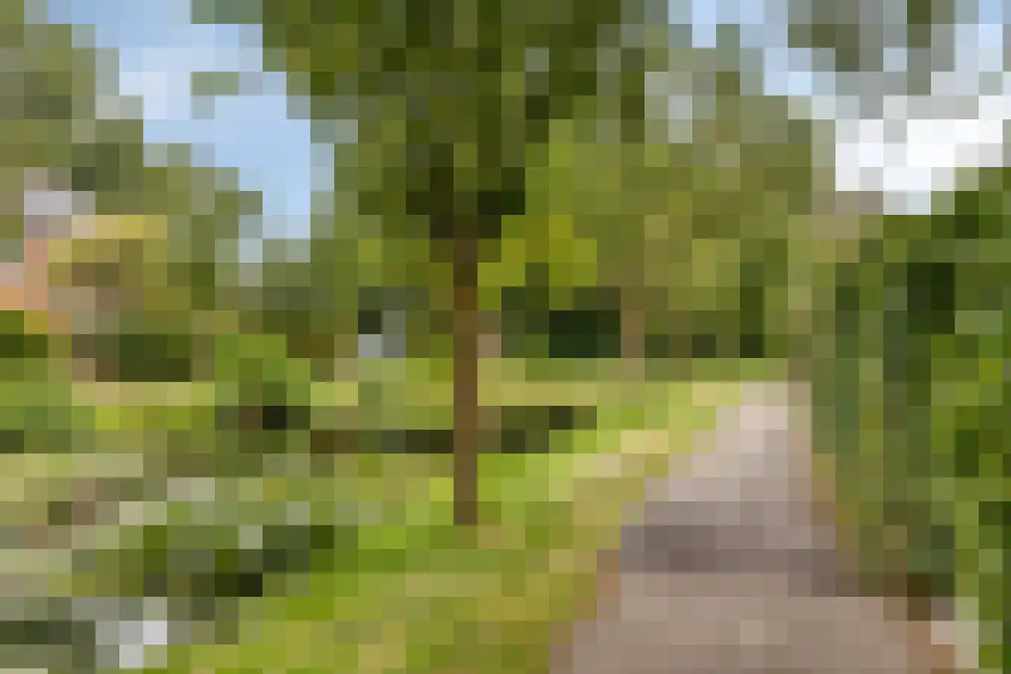 Molenwerf 114 Lekkerkerk thumbnail 46