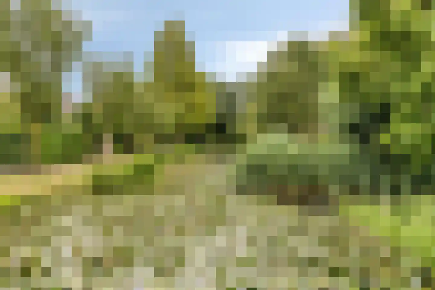 Molenwerf 114 Lekkerkerk thumbnail 47