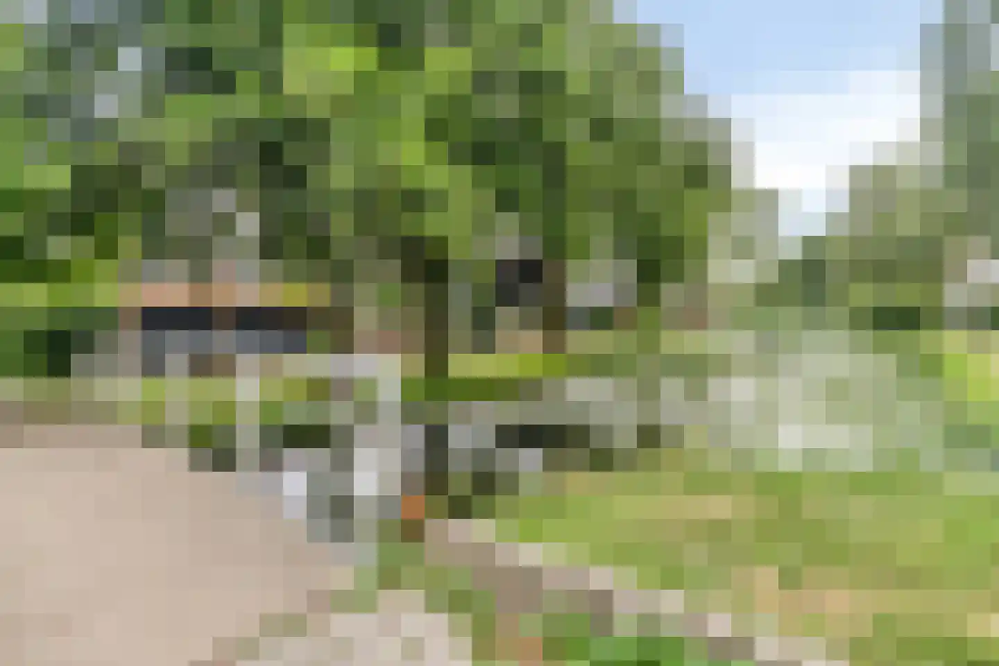 Molenwerf 114 Lekkerkerk thumbnail 48
