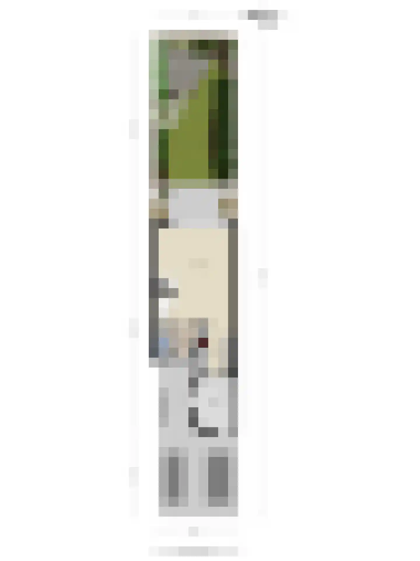 Molenwerf 114 Lekkerkerk thumbnail 55