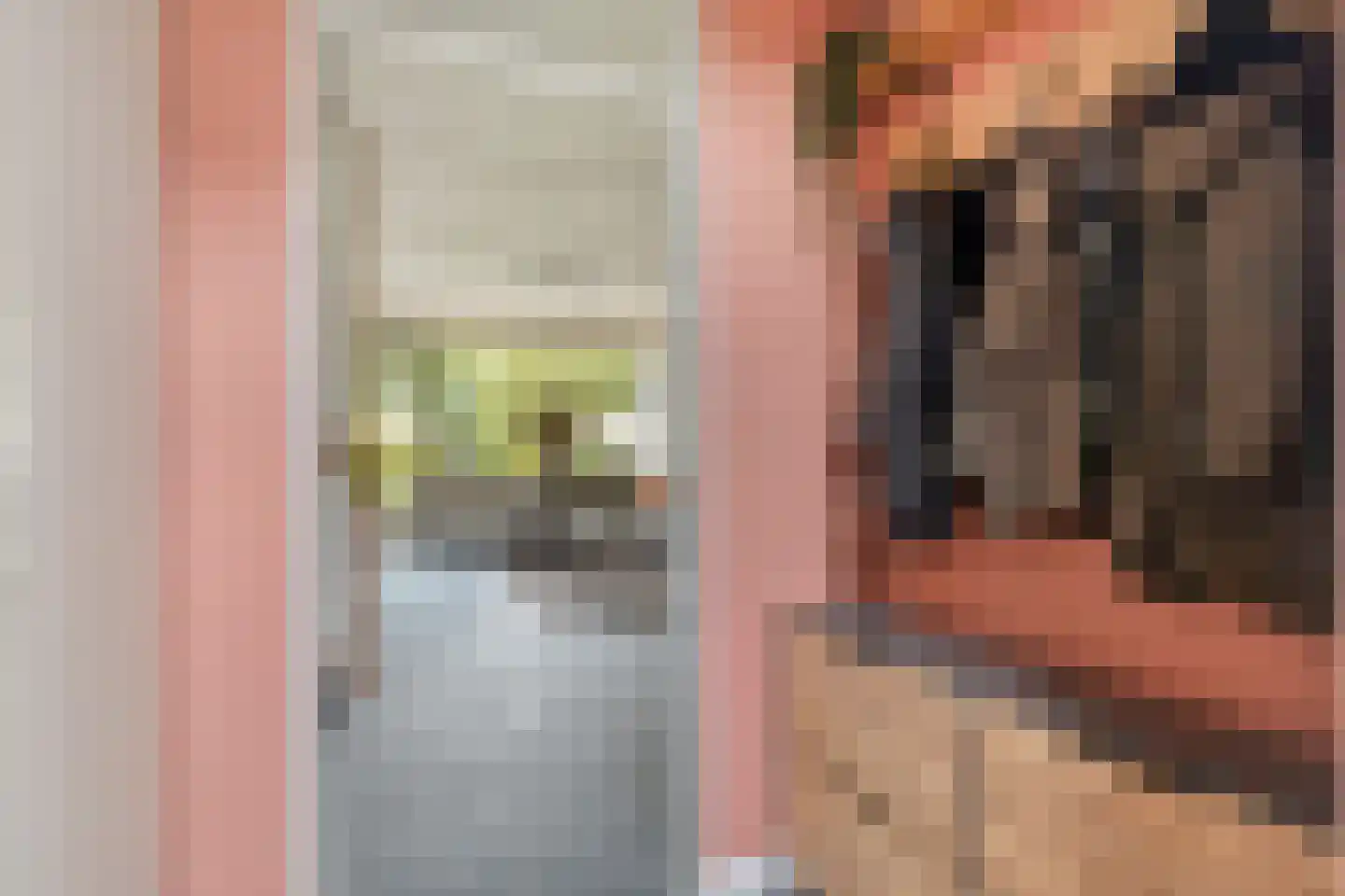 Molenwerf 114 Lekkerkerk thumbnail 9